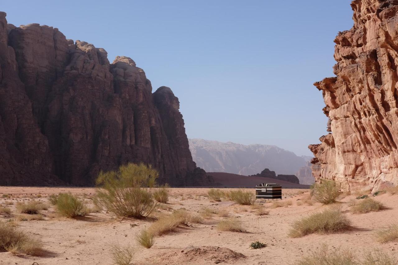 Wadirum Momoo Wadi Rum Ngoại thất bức ảnh