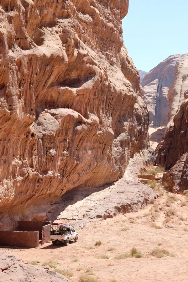 Wadirum Momoo Wadi Rum Ngoại thất bức ảnh