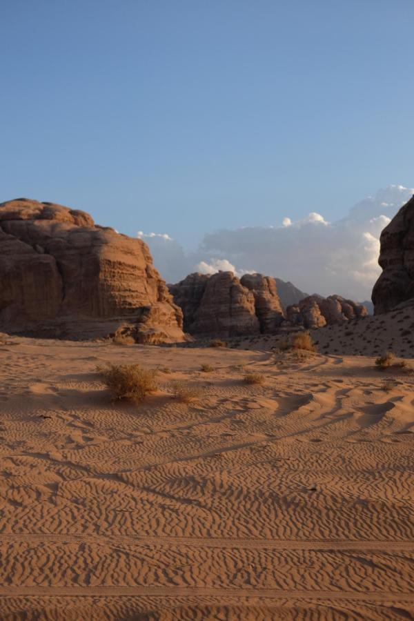 Wadirum Momoo Wadi Rum Ngoại thất bức ảnh