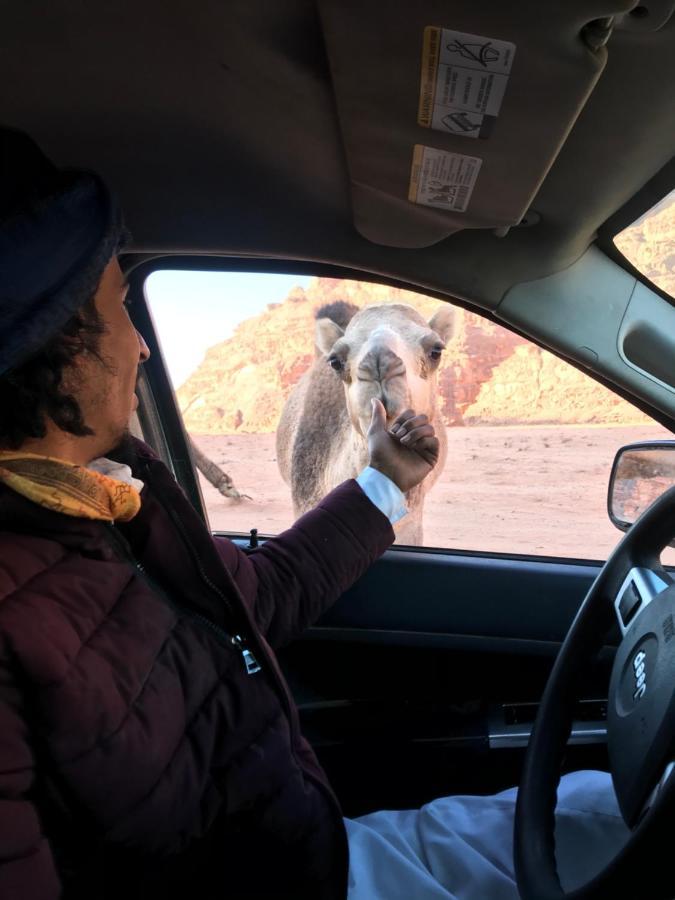 Wadirum Momoo Wadi Rum Ngoại thất bức ảnh