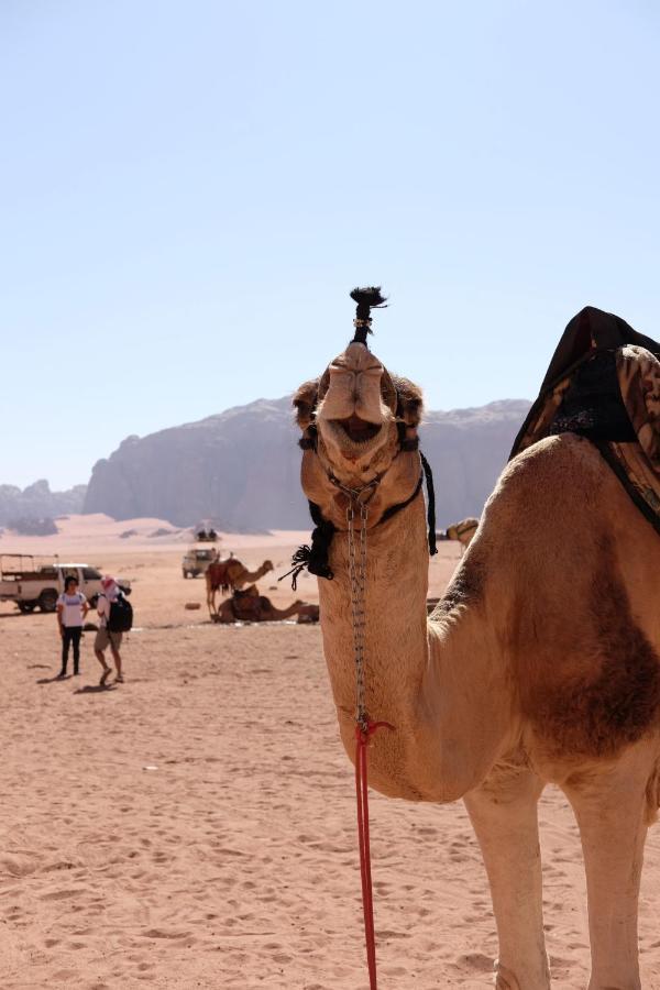 Wadirum Momoo Wadi Rum Ngoại thất bức ảnh